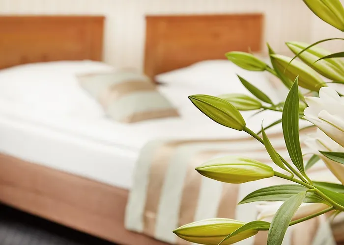 Rezydencja Solei Old Town